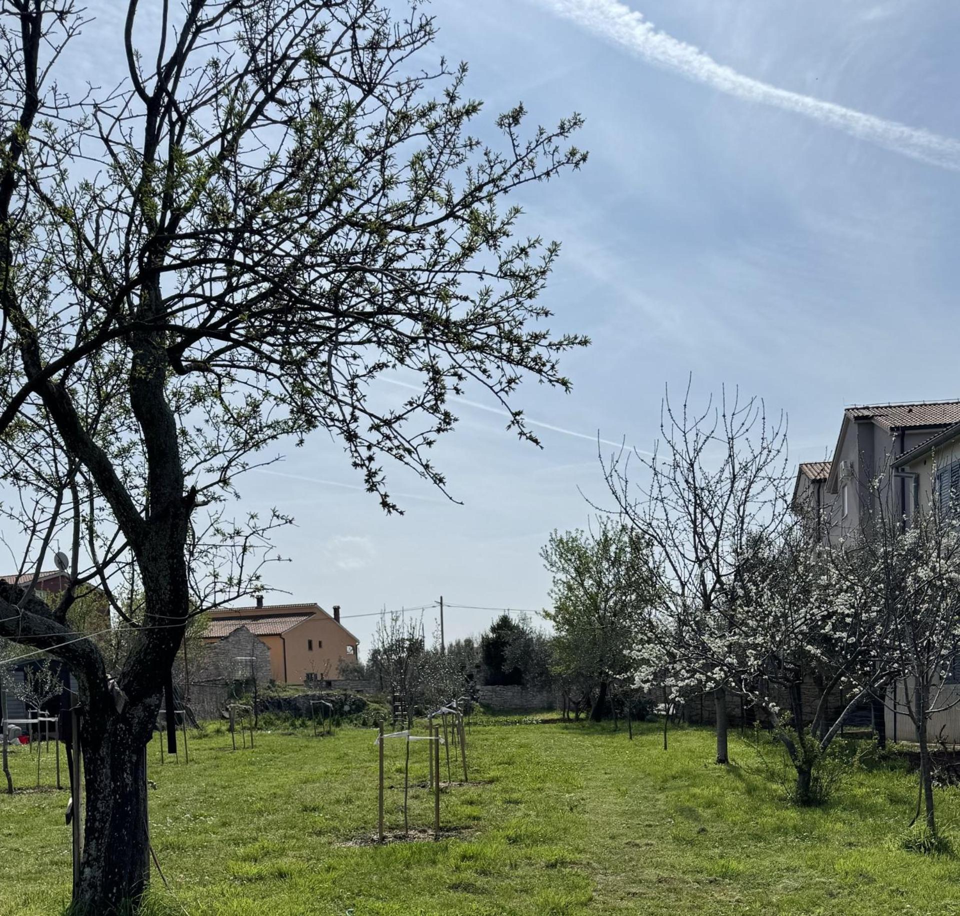 Apartments Milan Peroj Eksteriør billede